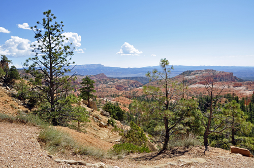 Boat Mesa and the Sinking Ship